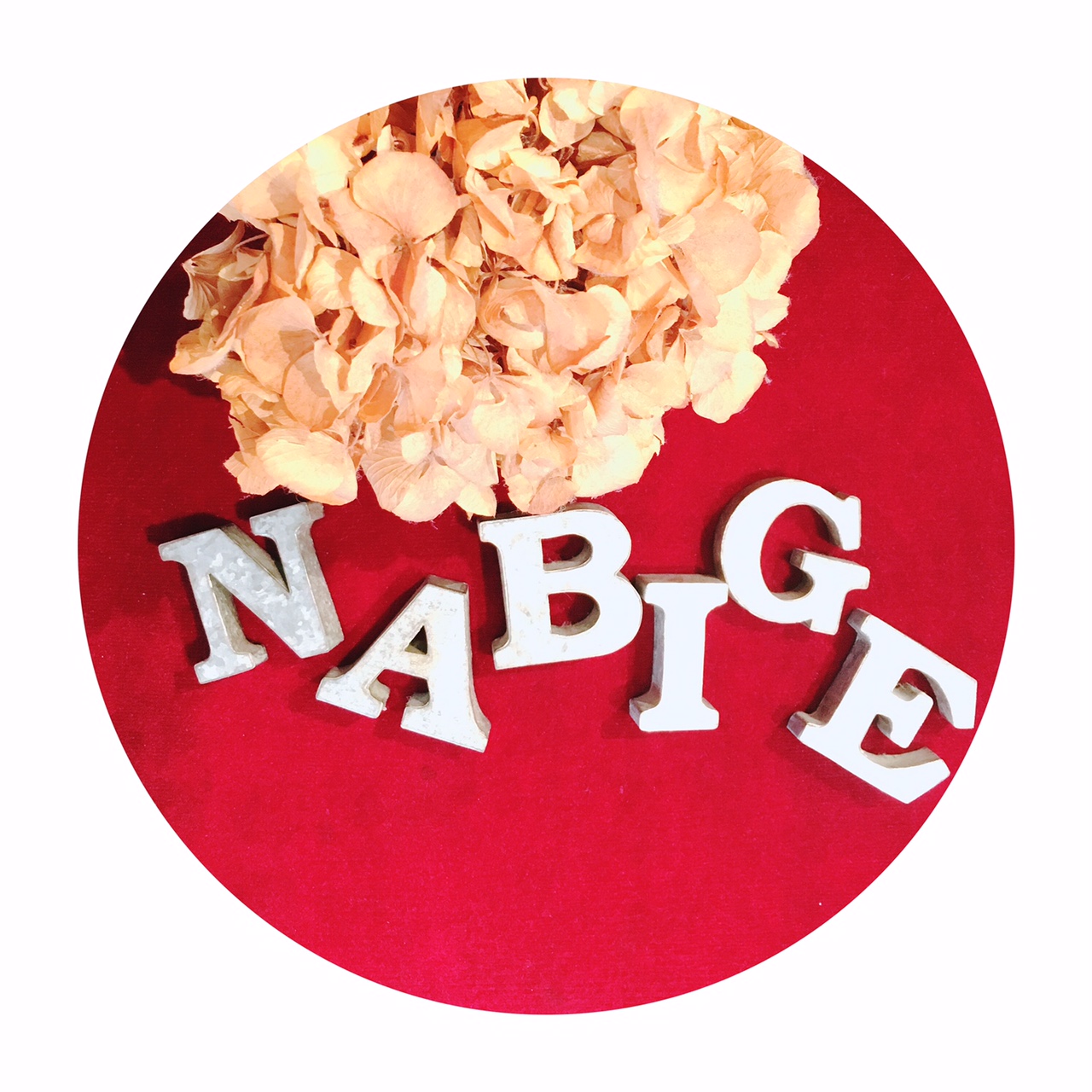 NABIGE (ナビッジ)